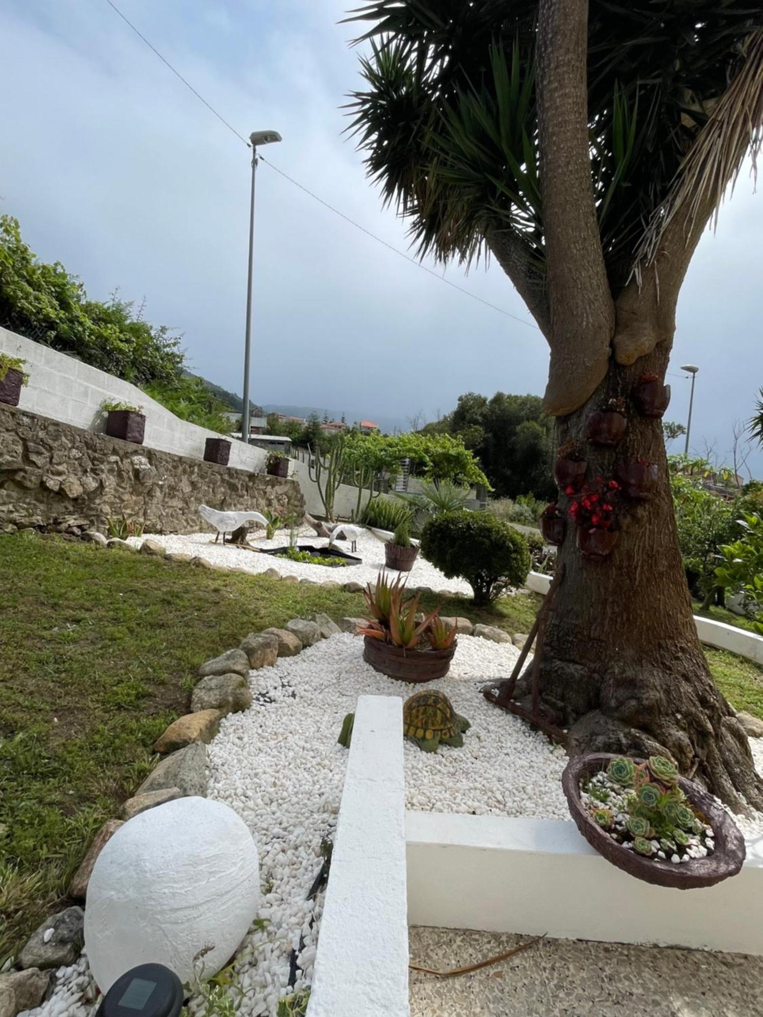 Casa Davila *